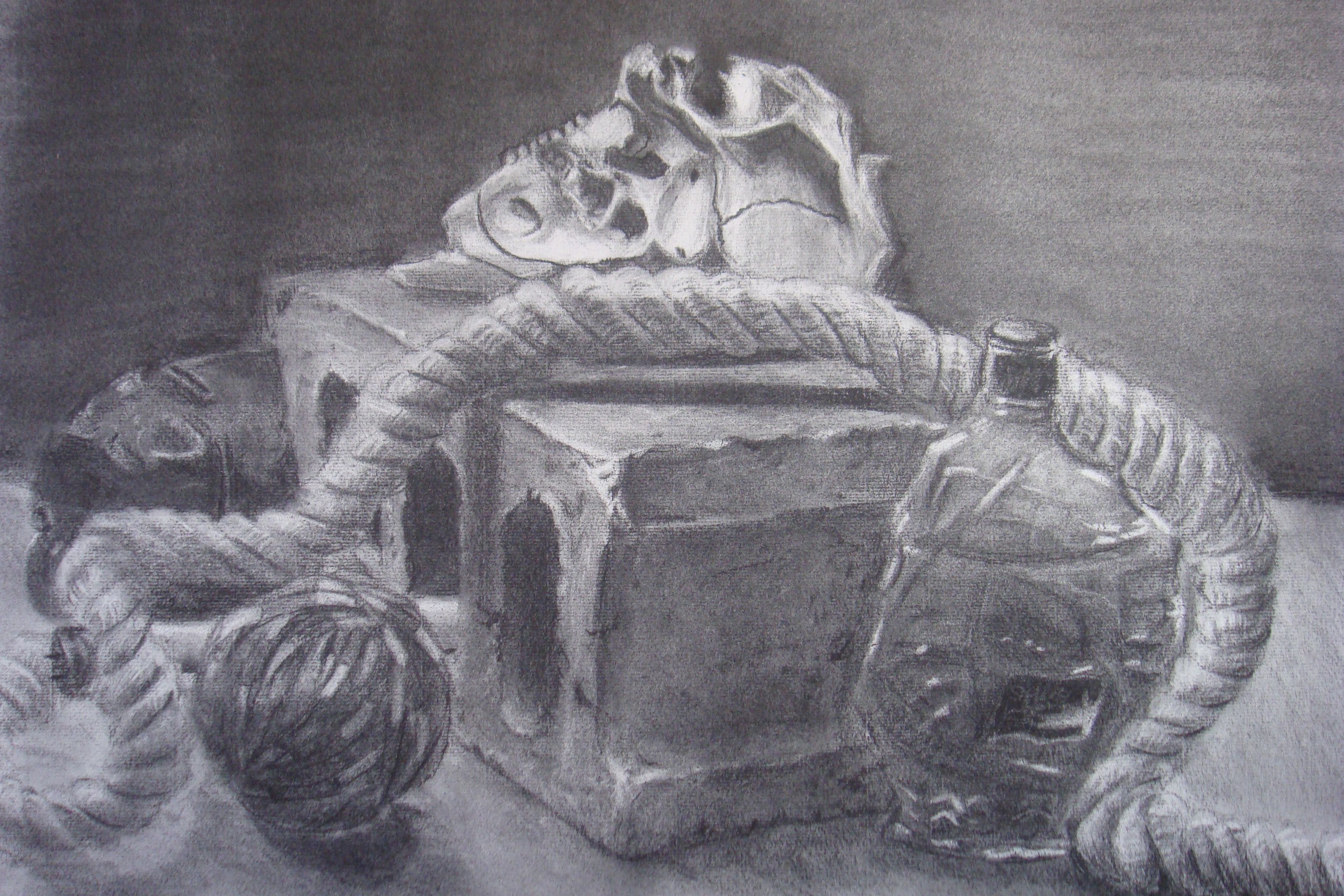 CathyShih_StillLife_Charcoal_4.jpg